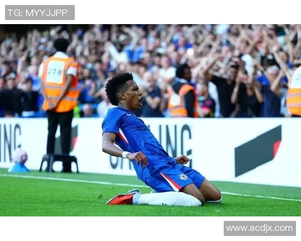 巴西上届足球明星的辉煌成就与未来展望分析